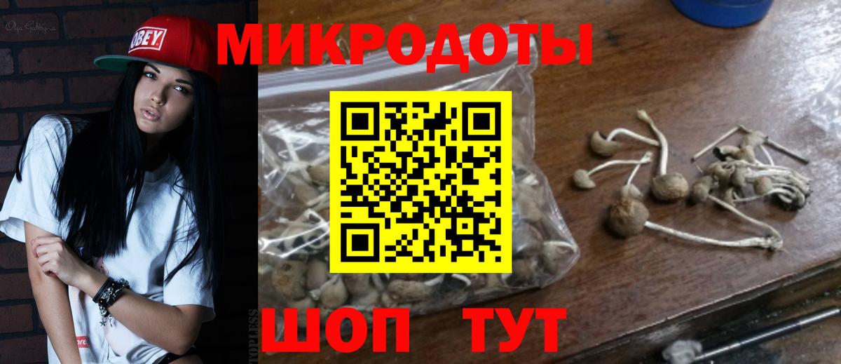 Галлюциногенные грибы Psilocybine cubensis Карпинск